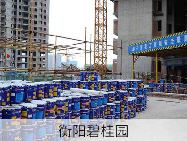 湖南衡陽嘉譽碧桂園